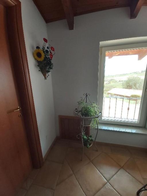 Cascina Cantaret Agriturismo San Marzano Oliveto Eksteriør billede